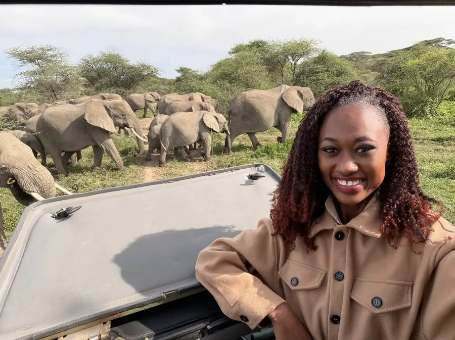 Noreen watching an elephant herd from a safari vehicle in Tanzania