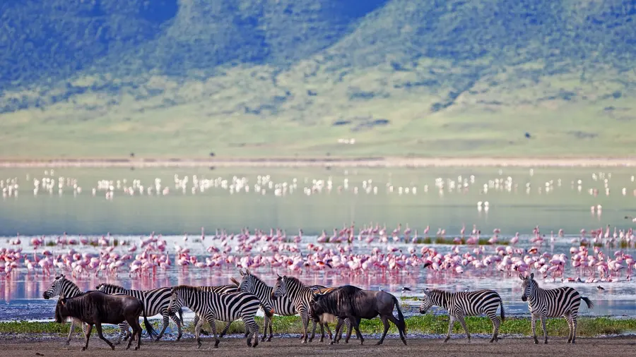 4-Day Ngorongoro & Serengeti Safari